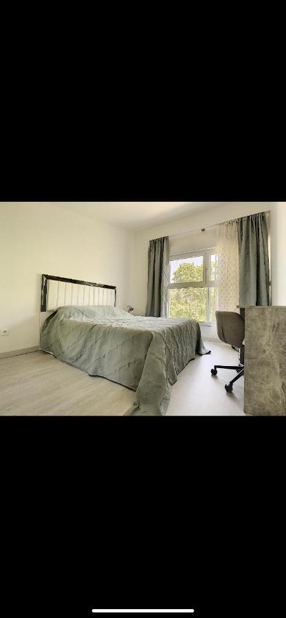 La Villa Petite Camargue Saint-Louis (Haut-Rhin) Exterior foto